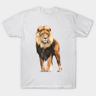 Lion Of Contemplation T-Shirt